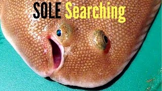 Fishing Brothers Episode 2 - Sole searching Volume 1