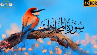 Al Mujadilah ll Surah Mujahidin ll Beautiful Voice