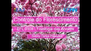 13 - Controle do Florescimento - 4