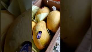 Unboxing #pakistani Mango Box #shorts