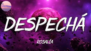 🎵 ROSALÍA - DESPECHÁ || Bad Bunny, Bomba Estéreo, Rauw Alejandro (Mix)