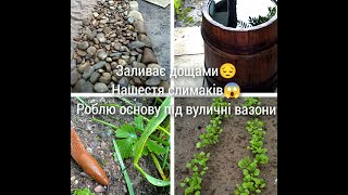 Два тижні дощі😔. Нашестя слимаків😠. Почала робити основу під вуличні вазони.