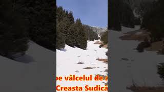 Vâlcelul către Creasta Sudică - Creasta Sudică a Pietrei Craiului iarna, martie 2024 #mountains