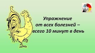 Упражнение от всех болезней – всего 10 минут в день и в жизни баланс.