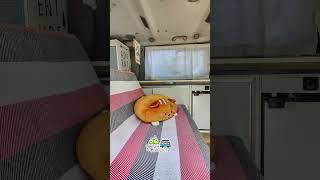 🏠VANTOUR camper🚐 ➡️HOMOLOGADA #homologatucamper #shorts #vantour #vanlife #campervan #homeonwheels