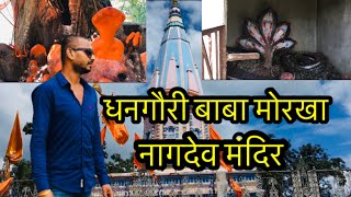 नागदेव मंदिर मोरखा धनगौरी बाबा मोरखा nagdev temple morkha dhangauri baba morkha