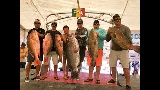 World Record Mutton? Team Sea Saw Fire Charity Weigh-In