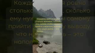 #успех #жизнь #природа #правилажизни