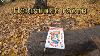 Землянка (часть 7). Незваные гости!!! Сделал стену.