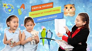 S1E22 👯‍♀️🦜 А.Үжин & А.Нинжин ☀️ Үлмэдэх ба түүний нөхөд - Үлмэдэх Aмерик орноор 🇺🇸