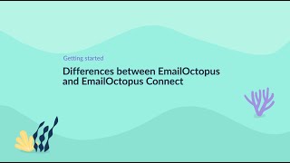 Differences between EmailOctopus and EmailOctopus Connect