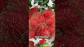 fruit funplay/#rambutan #splitshorts #split #funplay #fruit #shorts #youtubeshorts