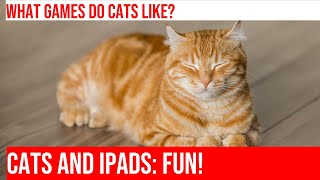 Cats Love iPad Games: Digital Playdates for Feline Fun!