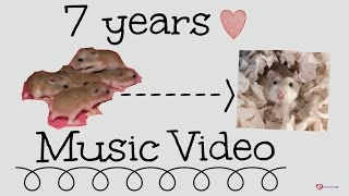 7 Years Music Video Feat Cinnamon {Hamster Heaven Contest Entry}