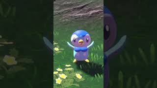 Piplup Cheer You Up