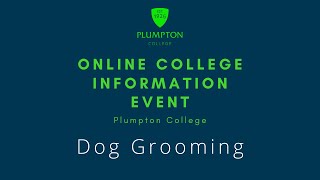 Dog Grooming at Plumpton College