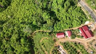 flying a copter in the jungle Un18