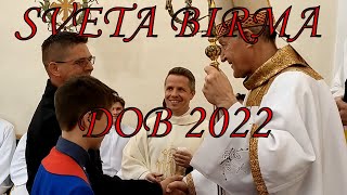 BIRMA DOB 2022