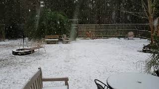 SNOW! Summerville, SC (South Carolina), January 3, 2017, 12:40 pm