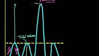 Lung volumes