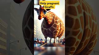 Help pragnent Giraffe #giraffe #help #rescue #animals #animallover #shorts