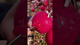 New Viral video #fruit #explore #reels #shortfeed #viwes