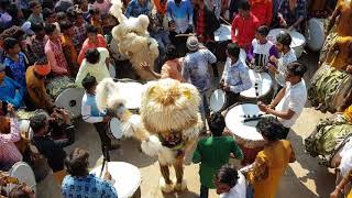 Moharram Sher dance Rajnandgaon