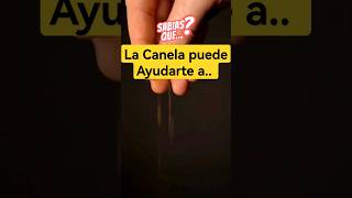 Una pizca de #canela a tu #cafe ayuda a controlar los niveles de #azucar en la sangre #salud #shorts