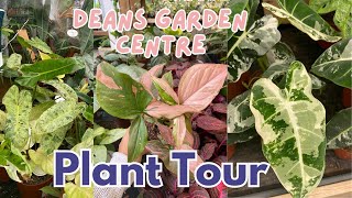 Dean's Garden Centre, York House Plant Tour | Rare & Uncommon Plants