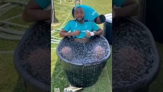 Watch how Ghana & Black Stars forward Jordan Ayew enjoys ice bath with Crystal Palace in pre-season