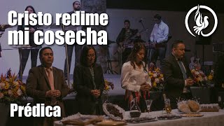 Cristo redime mi cosecha - Visión de Dios - Pastor David Jiménez