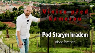 VINICE PŘED KAMEROU - trať POD STARÝM HRADEM, obec Bzenec