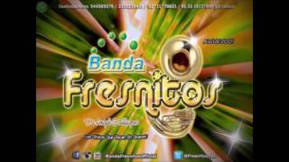 Banda Fresnitos