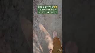 수술 후 7년 만에 찾아온 목감기/그래서 go~~/맨발 걷기 좋은 날 252/앞산 맨발산행루틴