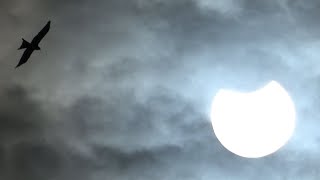 Partial Solar Eclipse Partielle Sonnenfinsternis 25.10.2022 #shorts