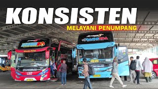 Tetap Bertahan Di Tengah Persaingan || Pangkalan Bus IBC Wiradesa