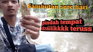 Mancing pindah2 tempat #staraik tiada henti