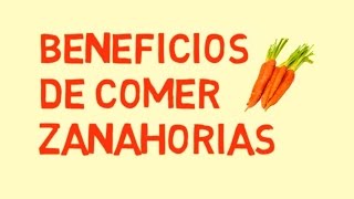 ZANAHORIAS - Propiedades y beneficios