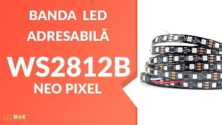 Bandă LED digitală ws2812b neo pixel dream led-box.ro . Bandă LED comaptibila arduino, t1000s.