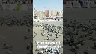 #SHORTS videos #masjid al haram ka #khubsurat video #viral #tiktok #trending #makkah 2022