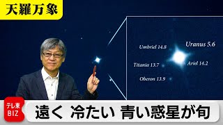 秋の夜長に見たくなる　遠く 冷たい 青い惑星が旬【久保田解説委員の天羅万象】（200）