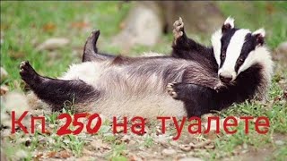 охота на барсука,  кп 250 возле туалета...