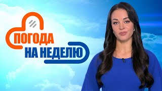 Первый снег и усиление ветра! | Погода в Беларуси с 3 по 9 ноября | Плюс-минус