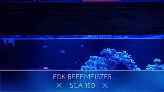 SCA 150 short reef update