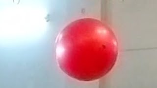 గాలిలో తేలాడుతున్న బెలూన్ #Youtube #shorts #Balloon #Birla #బిర్లా #మ్యూజియం @Gracywings