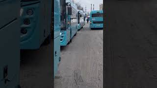 забираем новые автобусы 🚌