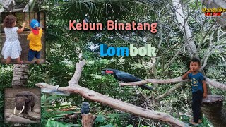 Kebun Binatang || MandalikaVlog 🐘🐦