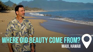 Where Does Beauty Come From? | Creation on Location