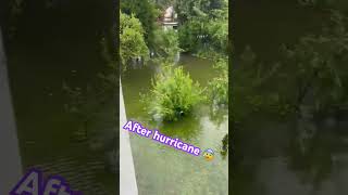 Flooded garden