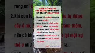 Cách dạy của người xưa #follower #cuocsong #viralvideo